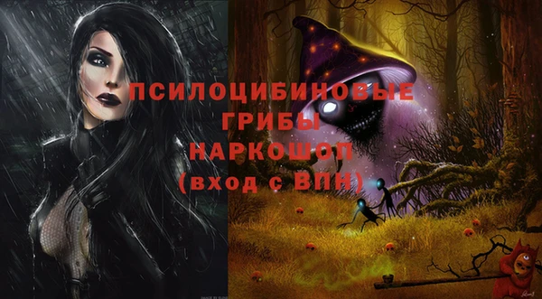 твердый Алзамай