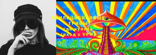 ГАЛЛЮЦИНОГЕННЫЕ ГРИБЫ Алексеевка