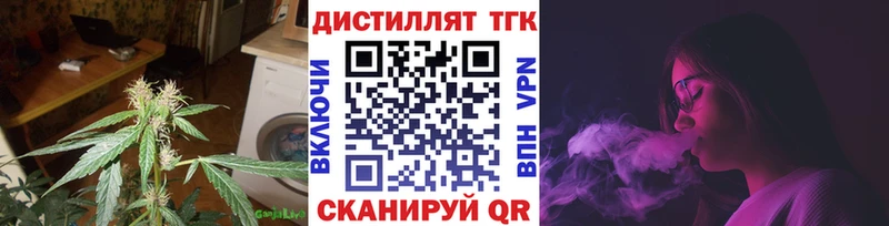 Купить закладки  Губкин  ТГК концентрат 