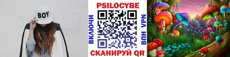 Купить  Губкин  Галлюциногенные грибы мухоморы 